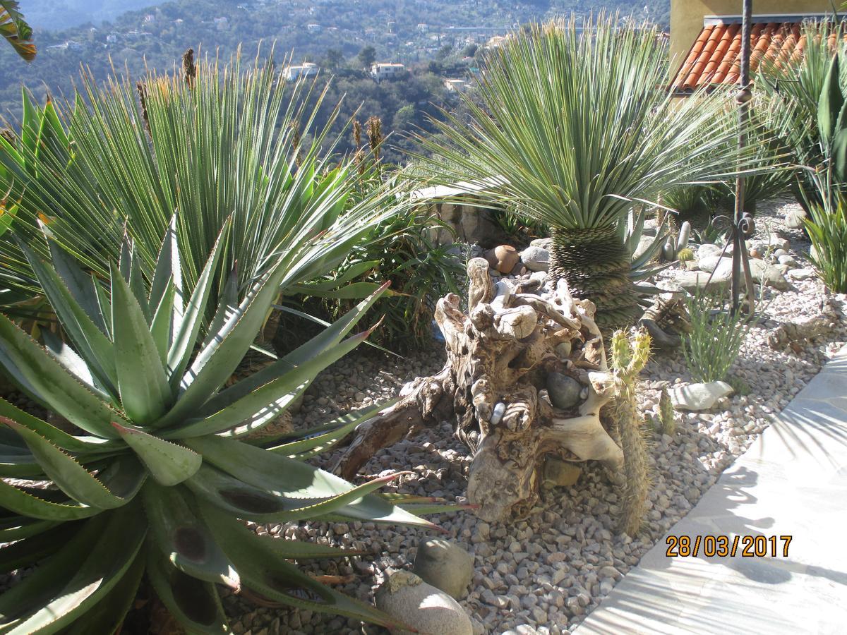Les Mimosas Bed and Breakfast Menton Eksteriør billede